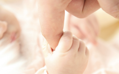 L’attachement, l’enjeu de toute une vie